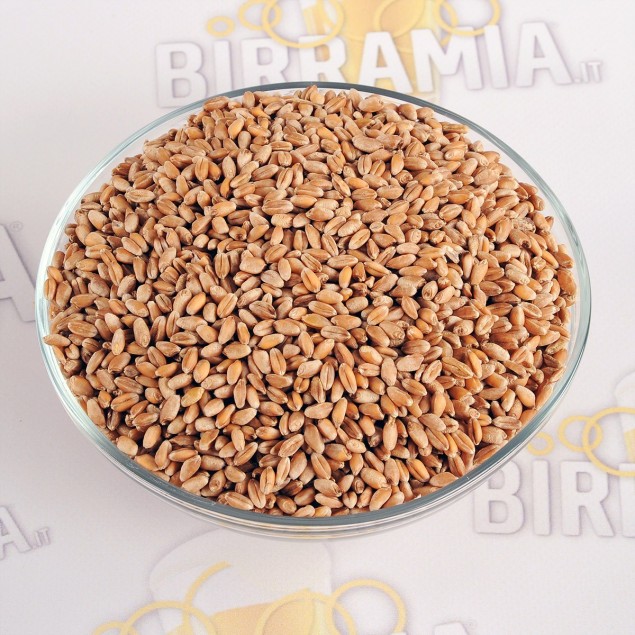 Grano tenero antico non maltato - 5 kg