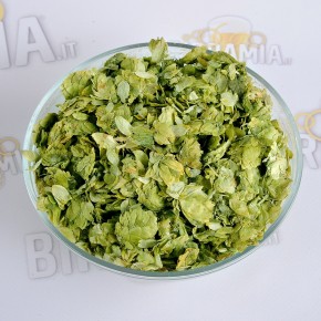 Luppolo Simcoe 100 g (Coni)