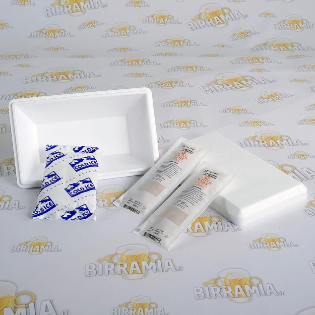 Confezione Refrigerata con Ghiaccio in Gel Riutilizzabile 250 g