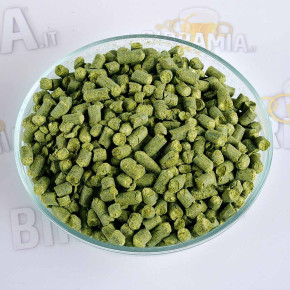 Luppolo Northern Brewer 100 g (Pellet)