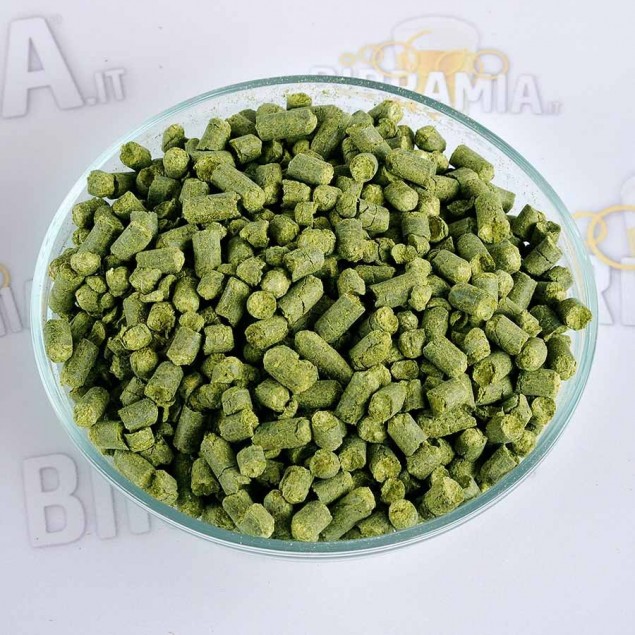 Luppolo Styrian Golding 100 g (Pellets)