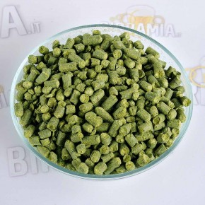 Luppolo Chinook 100 g (Pellets)