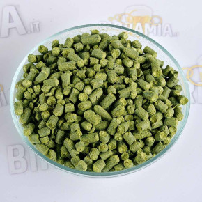 Luppolo Citra 250 g (Pellets)