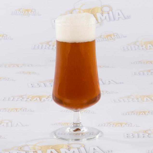 Bicchiere birra London 0,40 litri - Confezione 6 pz