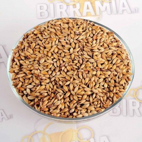 Malto in grani Special B - 1 kg, Mouterij Dingemans