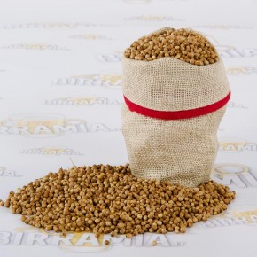 Coriandolo 100 g