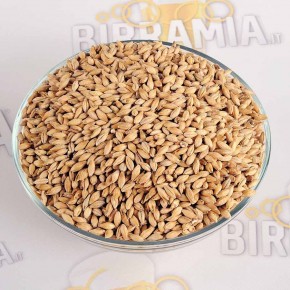 Malto in grani Cara Pils 1 kg, Weyermann