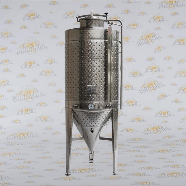 Fermentatore Tronco Conico Inox Professionale da 300 litri per birra