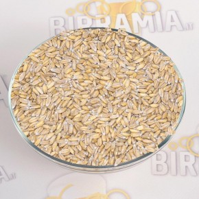 Malto in grani di Farro (Dinkel) 1 kg, Weyermann