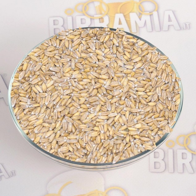 Malto in grani di Farro (Dinkel)  25 kg, Weyermann