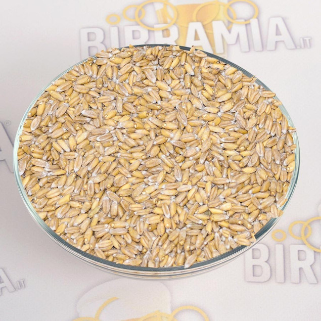 Malto in grani di segale (rye malt) 5 kg, Crisp Malting