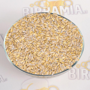 Malto in grani di segale (rye malt) 1 kg, Crisp Malting