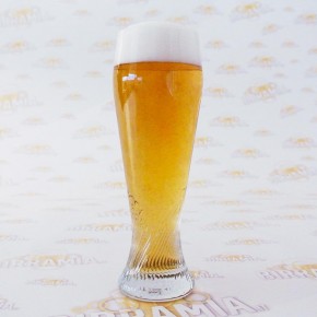 Bicchiere birra Tannheim 0,50 litri - Confezione 6 pz