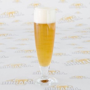 Bicchiere birra Pegasus 0,4 litri - Confezione 6 pz