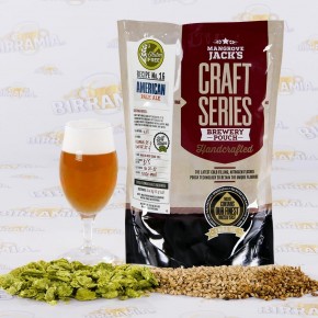 Malto per birra Gluten Free American Pale Ale con dry...