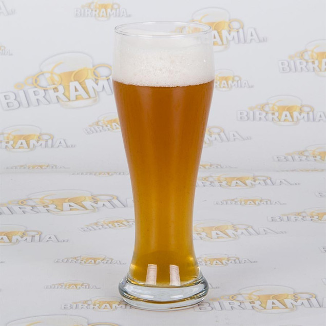 Bicchiere per birra weizen Ranft 0,50 litri - Confezione 6 pz