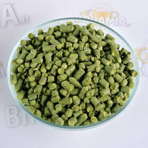 Luppolo Ahtanum 28 gr (pellets)