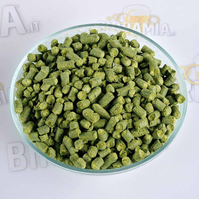 Luppolo per Dry Hopping Stout 25 g