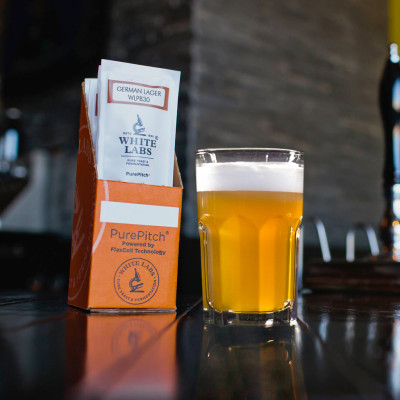 Scegliere il giusto lievito per ogni tipo di Birra Lager