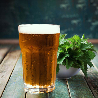 Gruit Ale Nemus: ricetta per birra senza luppolo