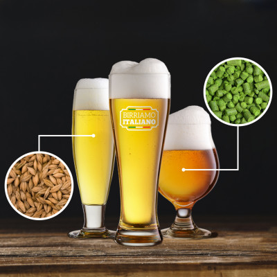 Birra artigianale italiana: nuovi kit All Grain 100% ITA