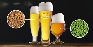 Birra artigianale italiana: nuovi kit All Grain 100% ITA