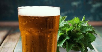 Gruit Ale Nemus: ricetta per birra senza luppolo